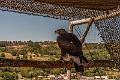 2015_08_03 (0061)